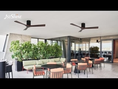 6 Speeds Choice Decorative Ceiling Fan With Remote Control and Durable Solid Wood Blades