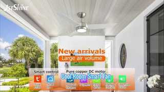 48 Inch ABS Ceiling Fan Remote LED Light