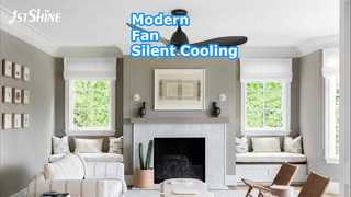 Modern 48 Inch Ceiling Fan No Light