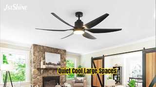 66 Inch Black Ceiling Fan Quiet DC Motor LED Light