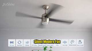 Silent Modern Ceiling Fan LED Light