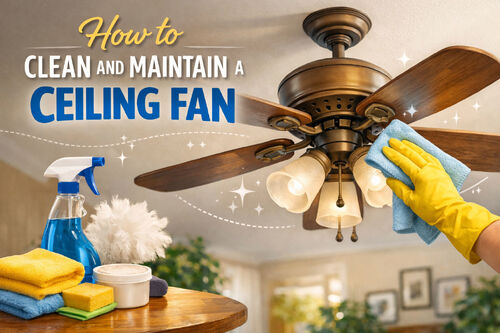 Latest company blogs about How to Clean and Maintain a Ceiling Fan