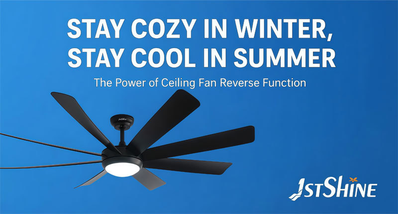 Latest company blogs about Stay Cozy in Winter, Stay Cool in Summer: The Power of Ceiling Fan Reverse Function