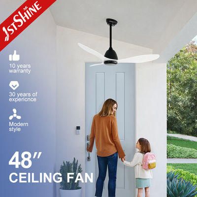 48 Inches Modern Ceiling Fan Without Led Light ABS Blade Dc Remote Control