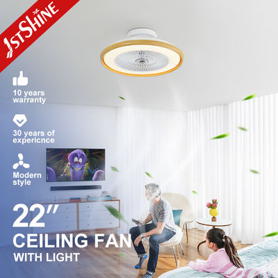 Buy Dimmable LED Ceiling Fan with Remote and High Airflow 110-240V/50Hz-60Hz Low Profile online manufacture