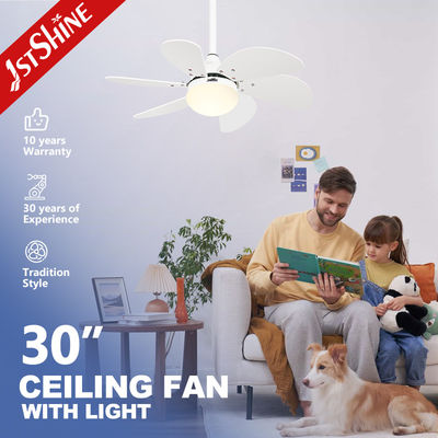 Buy 1stshine Ceiling Fan Light with White Blades and 6 Speeds 110-240V/50Hz-60Hz Input Voltage online manufacture