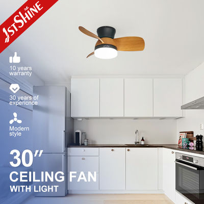 Buy 110-240V/50Hz-60Hz Decorative LED Ceiling Fan with Water Transfer Color Blades and Lights online manufacture