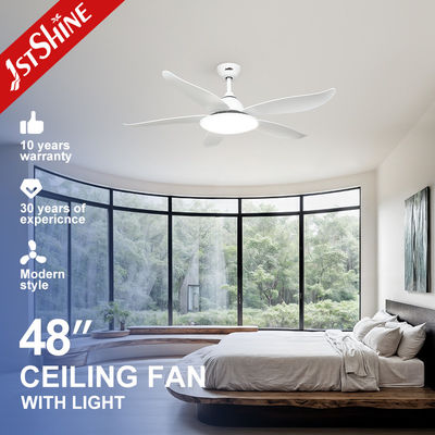 Buy Modern Home 48