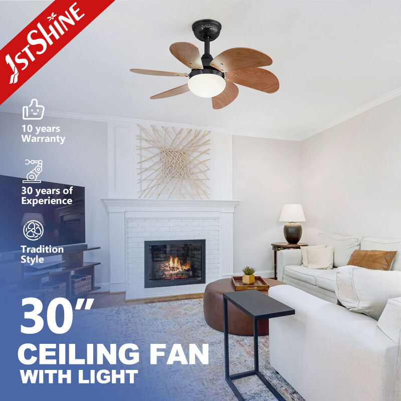 30-Inch Ceiling Fan with Light and DC Motor