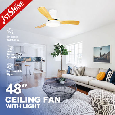 6 Speed 48 Inch Flush Mount Ceiling Fan With Light And Remote DC Inverter